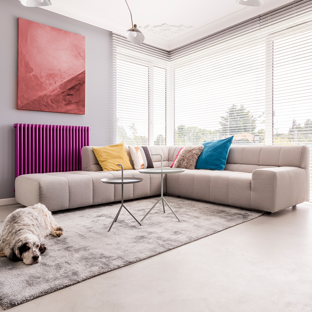 Satyam Kashish Phase 2